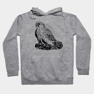 Kestrel Hoodie